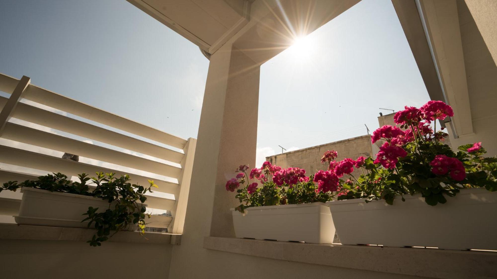Il Vicoletto Bed & Breakfast Polignano a Mare Ngoại thất bức ảnh
